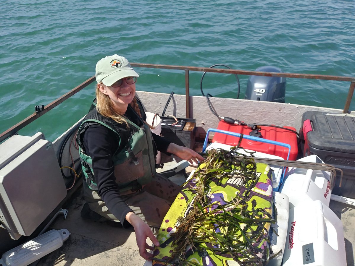 Morro Bay NEP tweet media