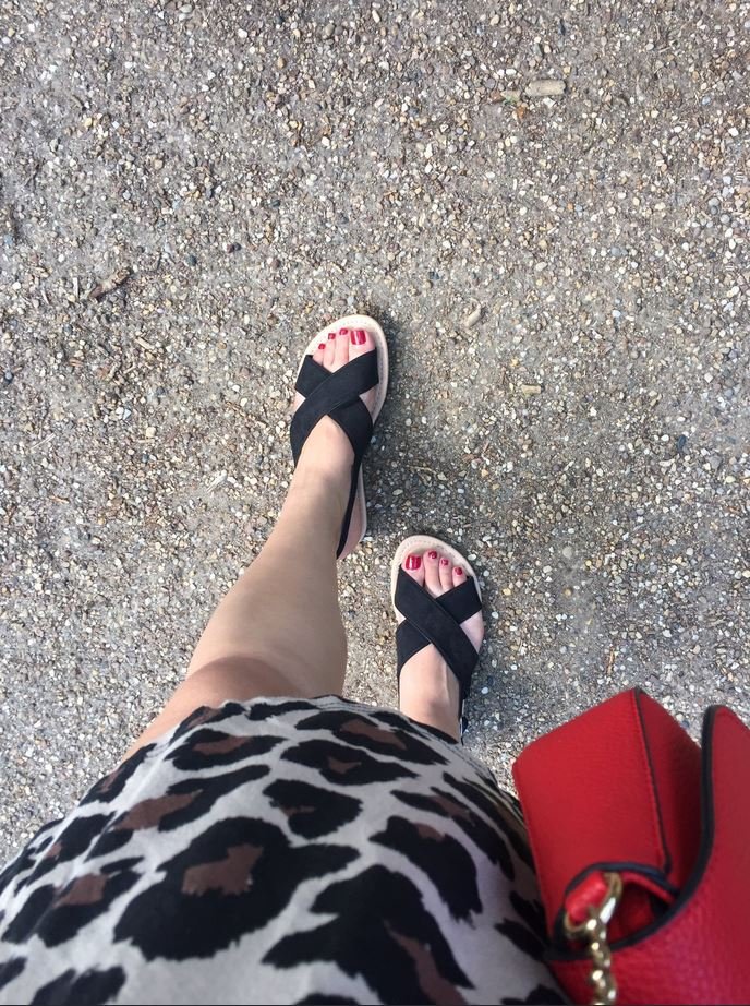 FindomSonia's tweet photo. En direction d'un bon petit plan dab...🤣🐶💸
#moneymiss #moneyslave #findom #soumis #paypigs #rtfindom #femdom #maitresse #pigeon #domina #cashslave #looser #money #plandab #cashmeet  #atmslave #paypig #financialdomination https://t.co/Uzpl5ZDTN8