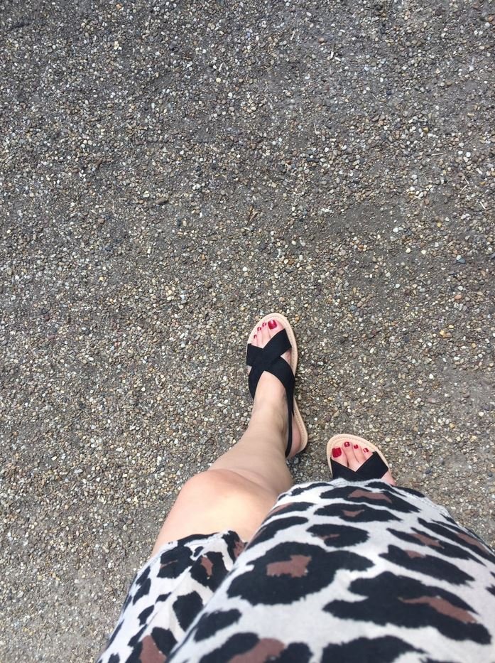 FindomSonia's tweet photo. En direction d'un bon petit plan dab...🤣🐶💸
#moneymiss #moneyslave #findom #soumis #paypigs #rtfindom #femdom #maitresse #pigeon #domina #cashslave #looser #money #plandab #cashmeet  #atmslave #paypig #financialdomination https://t.co/Uzpl5ZDTN8