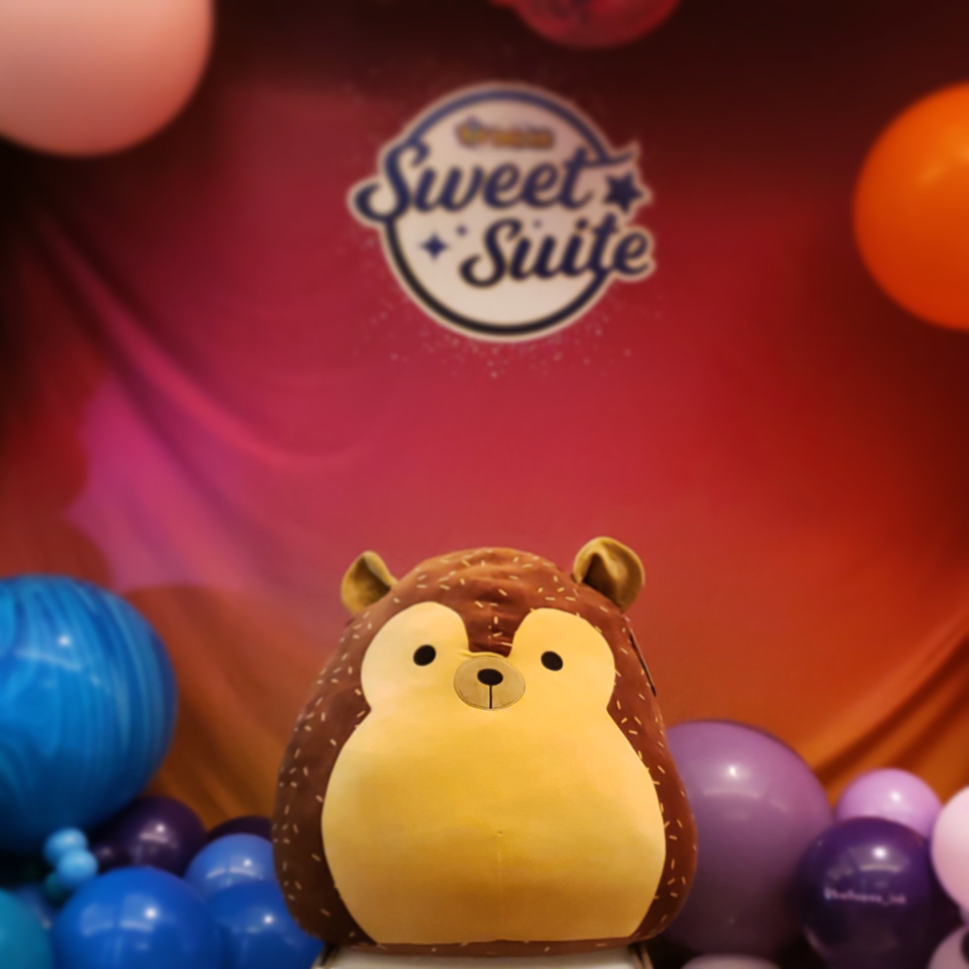 squishmallows hans