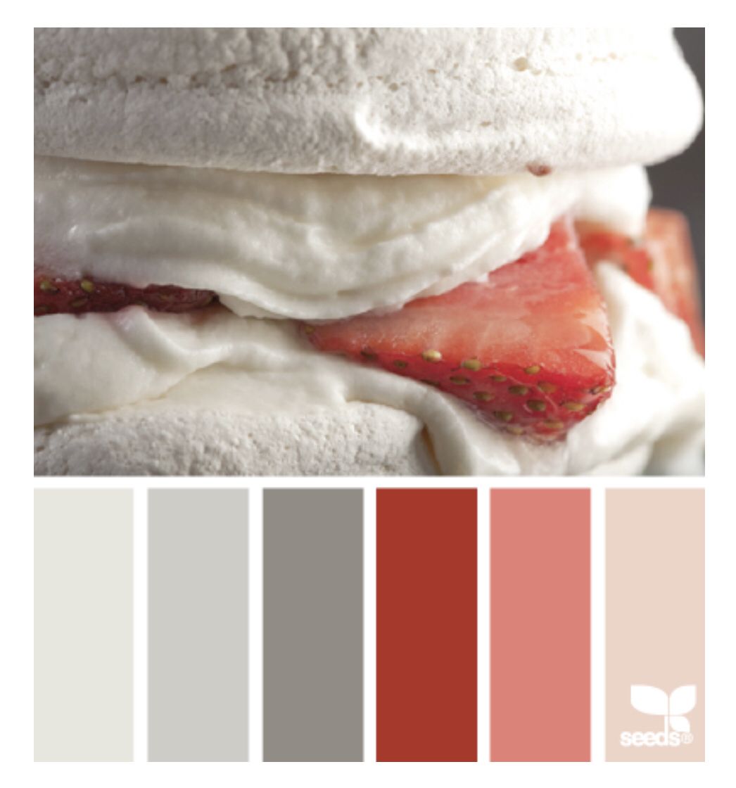 shayfrom_thebay's tweet image. Decadent Tones #DesignSeeds #ColorPaletteOfTheDay