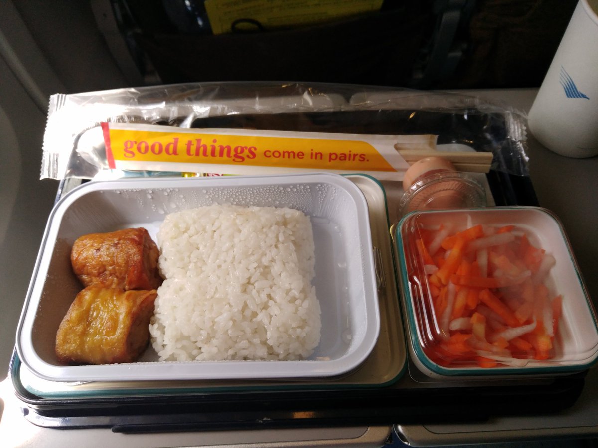 <a href="/arieparikesit/">#KelanaRasa</a> <a href="/IndonesiaGaruda/">Garuda Indonesia</a> My food on GA economy, 2H15mins flight, during lunchtime was this... Chopsticks used for scale... Disappointed? Yes! We know cost cutting is necessary, but when it is this "brutal", it may be a bit too far in the wrong direction...