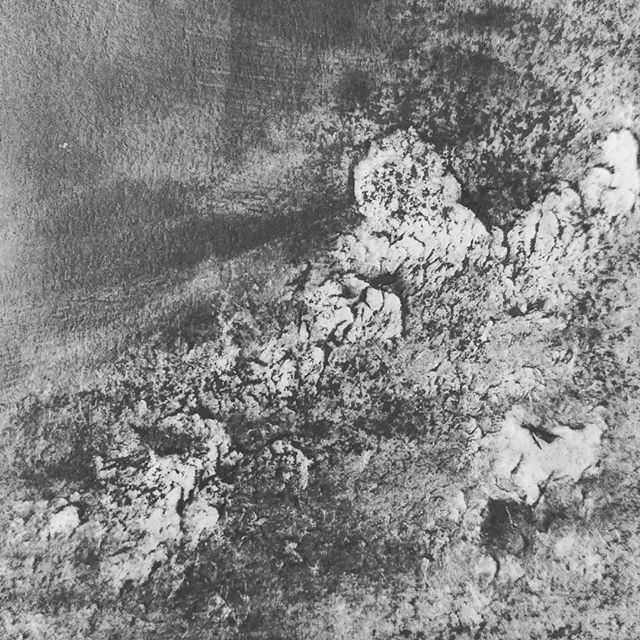 alediazbouza's tweet image. Some days are full of nightmares and fears, and also about finding beautiful memories from the past. So for me today was all about #textures and finding paths through darkness.
#watercolourgraphite #graphitepowder #workinprogress #eraser #batteryeraser ift.tt/2Zazvv7