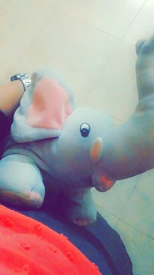 Rencontre gay scat Rencontre gay scat