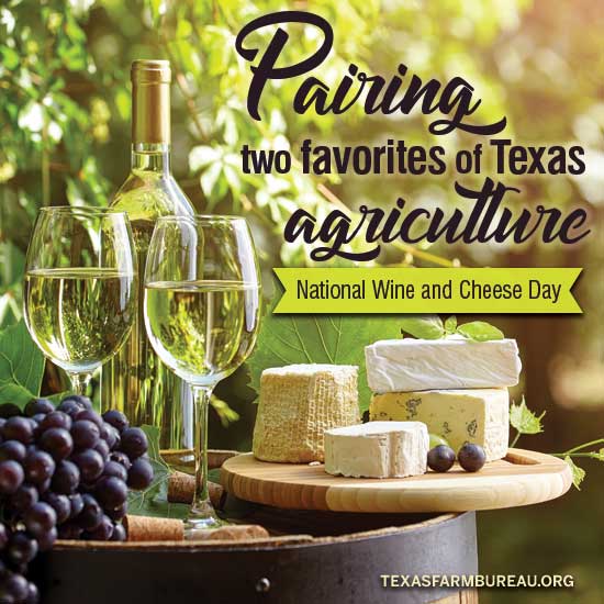 TexasFarmBureau's tweet photo. Better together. And with the help of Texas farmers. Celebrate the fruit of the vine and cheeses so fine on #NationalWineAndCheeseDay. https://t.co/qOxkxdoTIo