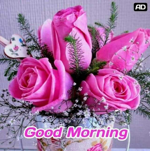 ranigill7's tweet photo. GOOD MORNING #FB FRIENDS🌹 #HappyMORNING 
#PARAMJIT G , DR MANIK ,RUBY 
#PRAMOD JI #VIJAY ABI G
#PARVEEN G ,HAPPY AND TIMPY  ALI SANDHU, SUHANI ,ASH RAF G SHASTRY &amp;ALL 
@bluvd18       
@anuragbindal2      
@123toabc    
@abct0xyz       
@RubyKha09925269       
@sagheer_usmani https://t.co/LglK7t42NG