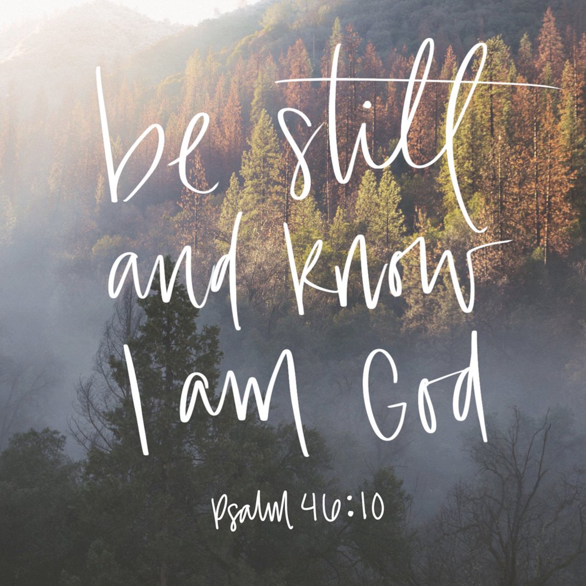 DDock08's tweet photo. “Be still, and know that I am God! I will be honored by every nation. I will be honored throughou…
https://t.co/PK2gcUM2R3 https://t.co/nzk1KUme5s