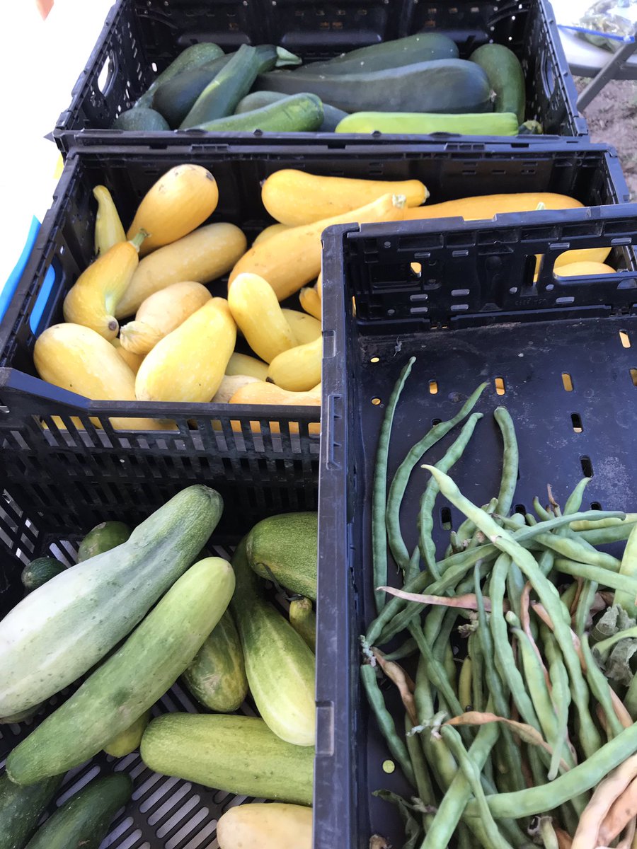 WildhorseMarket's tweet photo. We’re open until 8pm with lots of veggies. https://t.co/oZuYOYhmHc