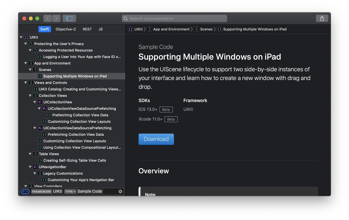 Screenshot of the Xcode documentation window with a filter applied in the navigator.