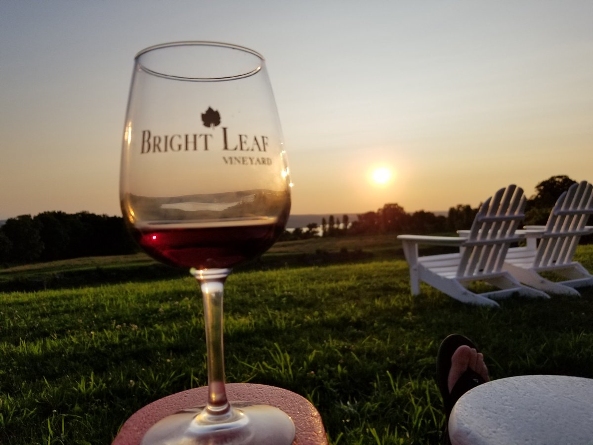BesemerM's tweet photo. Relaxing evening at Bright Leaf Vineyard. #kingferry #fingerlakes #upstatenysummer https://t.co/sDTiBBbUBn