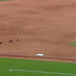 Photo by Anti-Statcast (@Anti_Statcast)