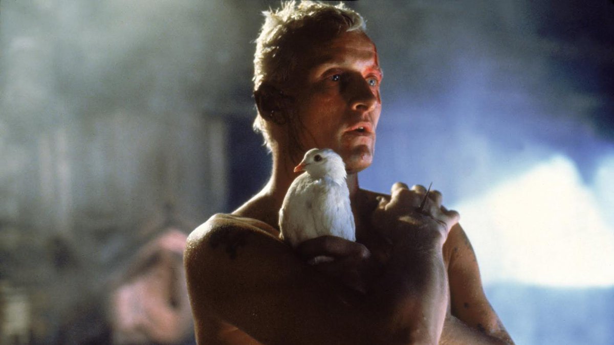 Your star has shone very brightly.
RIP Rutger Hauer 😥