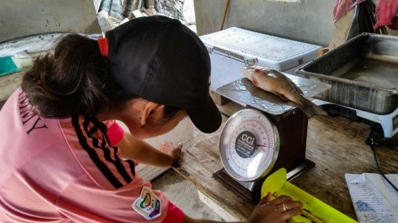 SMARTCnsvTools's tweet photo. SMART helps managers better understand the nature &amp; availability of #fisheries products for local #communities. Learn more in the #SMART2018 Annual Report https://t.co/arewmNbqq8  #conservation #MPA #oceans 📷Alex Tewfik &amp; @WCSBelize .@TheWCS .@WCSNewsroom https://t.co/ZgQUJybJtJ