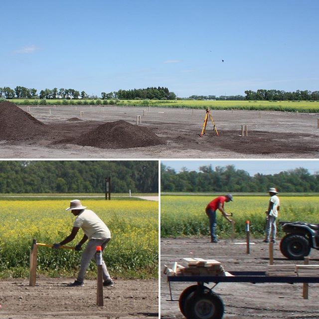 vanstoneplants's tweet photo. Work on the new greenhouse site https://t.co/oymr7LH2Sr
