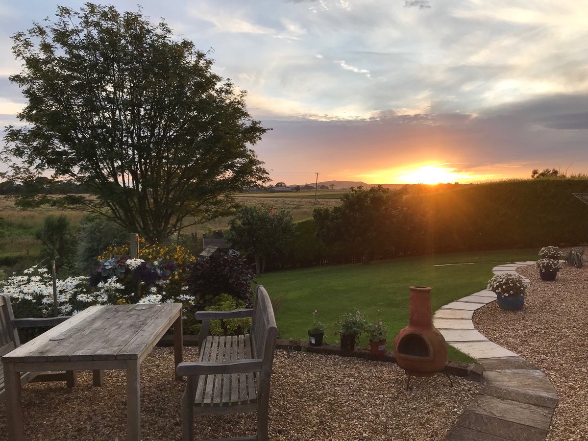 David Snodgrass tweet media