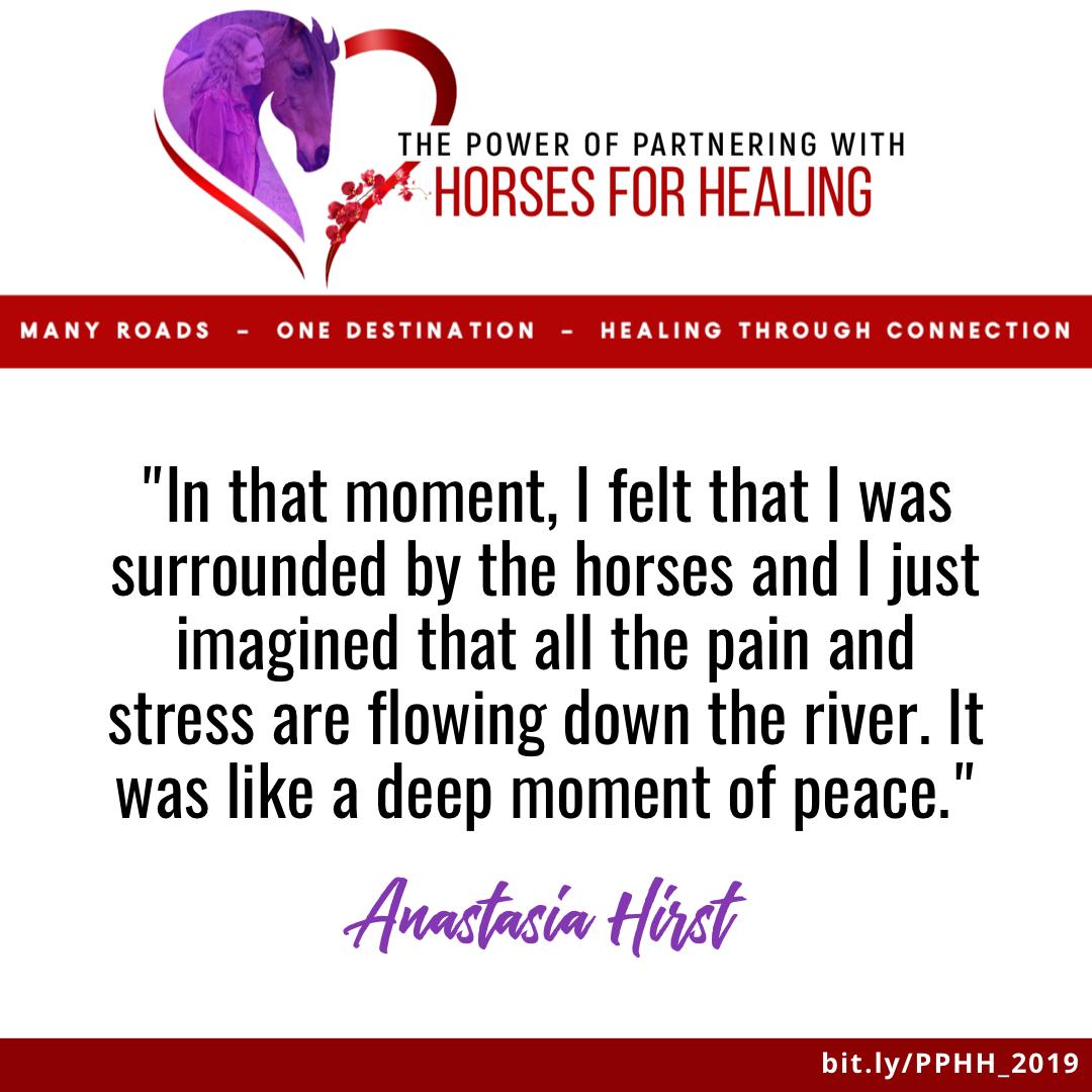 UnbridledChange's tweet photo. The Power of Partnering with Horses for Healing⠀
⠀
If you missed our virtual conference last July 8th to 10th, you can still register for our VIP access - $47⠀
⠀
Register here: https://t.co/jZfTjZjJ1Q
⠀
#equine #virtualconference #horse #horses #equinelovers #onlinesummit https://t.co/3eBo3JaGzs