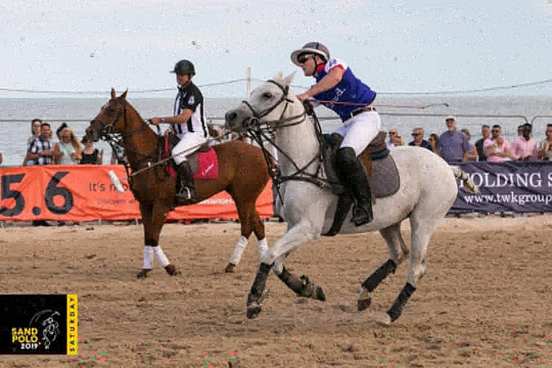 Sandpolo tweet media