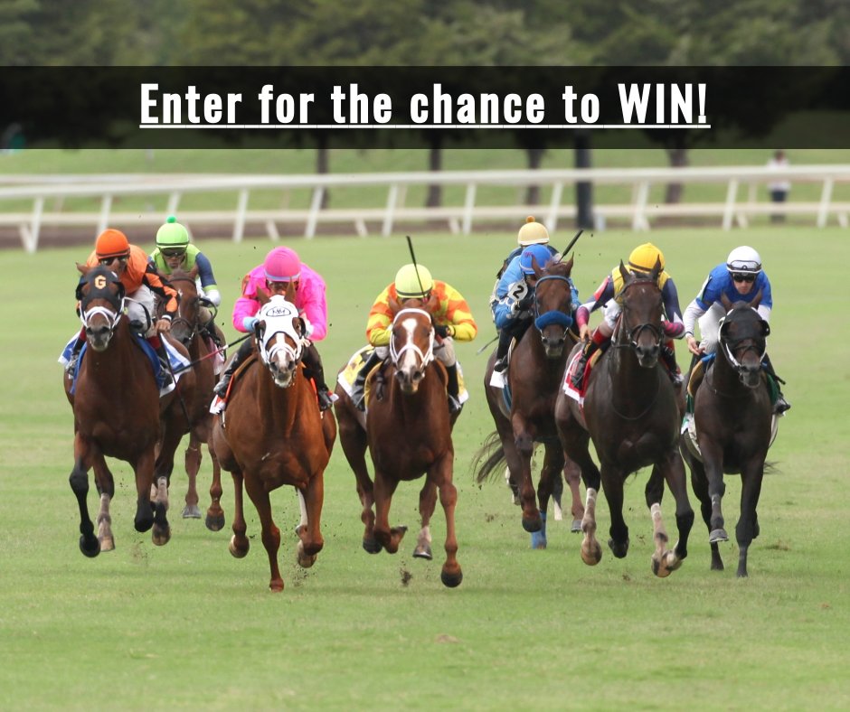 Enter for the chance to WIN a trip to Remington Park for Opening Weekend of the Thoroughbred racing season! 🎉🎉

🚨🚨 ENTER HERE: woobox.com/vbnxxh 🚨🚨

Contest ends 8/16/2019.

Good luck!

#WinAtRemington #ThoroughbredRacing #HorseRacing #OKCAdventureDistrict