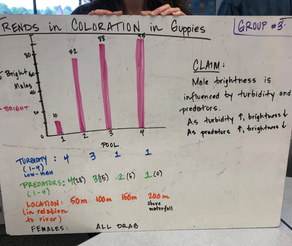 Mr_Costello11's tweet photo. How does representing the same data set in a variety of ways lend itself to making sense of a phenomenon? What sort os discussions does this allow us to have with our students? #modbio #mimodelinginstruction https://t.co/dK6DXlhKYG