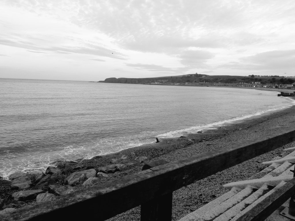 PosCoachDev's tweet photo. A long but hugely rewarding day working with @ScottishSwim teachers and coaches. 3 mentoring sessions across #Aberdeenshire then working together with @asvabdn #diving coach on promoting self reflection through feedback strategies. Eyes & ears only for me #coachdeveloperdiaries https://t.co/mFo5JBxBn8