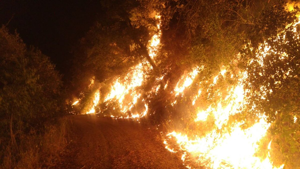 MiquelBuch's tweet photo. Ens trobem davant un foc amb una potencialitat de 2.000 hectàrees. Els equips de seguretat i emergències estan treballant intensament per reduir-lo el màxim possible. Seguiu els perfils oficials i extremeu la precaució. Màxima alerta. #IFCapellades https://t.co/vVofNLOtJj
