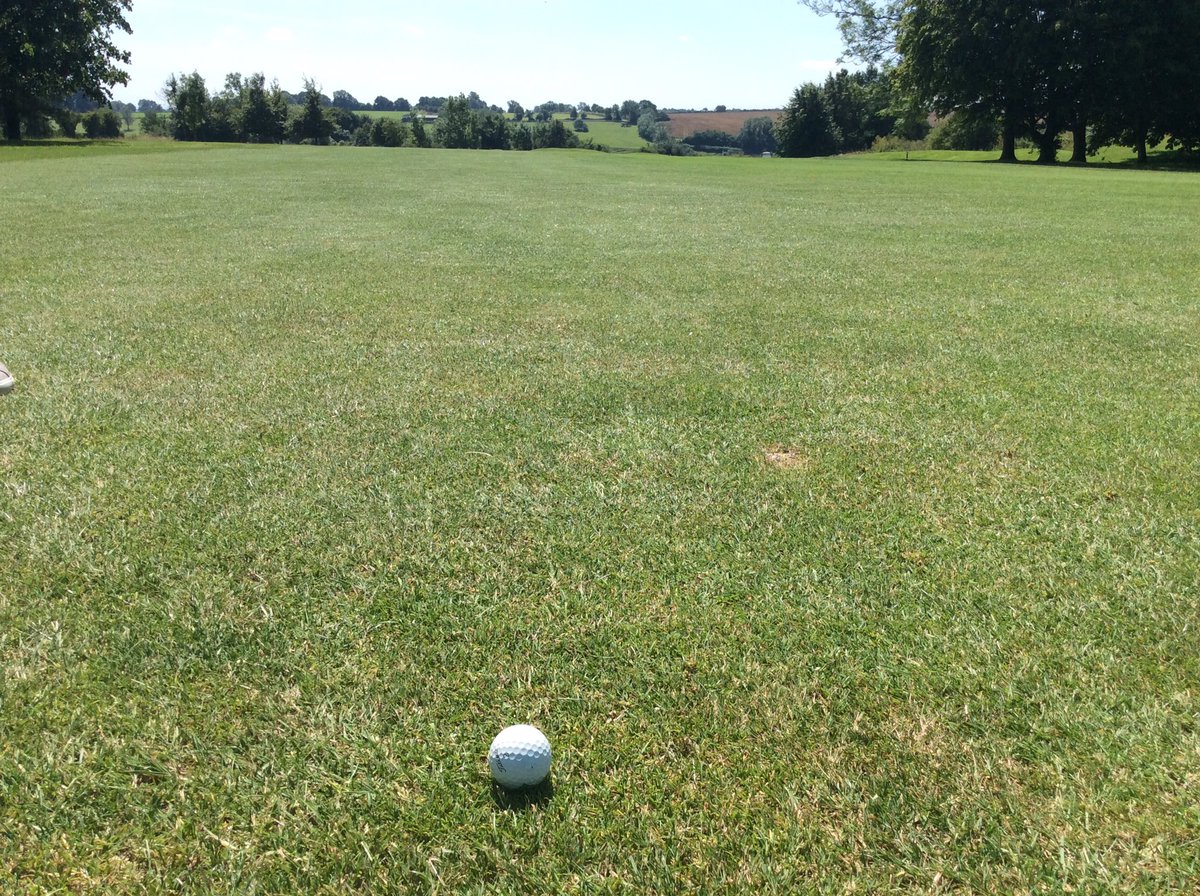 WoodhamPW's tweet photo. Great progress recovering from 2018 #heatwave conditions @MinchGolfClub and reviewing all areas of Cherington and Avening #golfcourse @striturf #agronomy. Old course is always a treat #traditional #artofgreenleeping #grabashovel 🐄 💩 https://t.co/IW1wahRM1a
