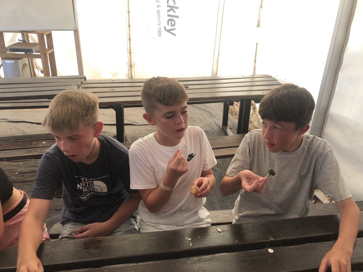 TRocks2019's tweet photo. https://t.co/OQGyQSHACZ