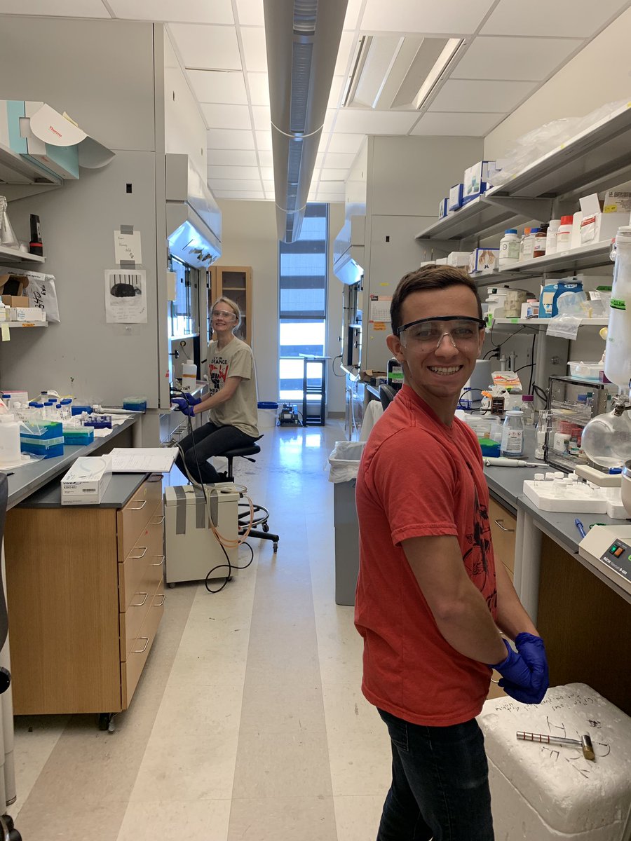 Our awesome undergrads hard at work! You guys rock #ricechemistry #BalllaB #superstars #happyhumpday
