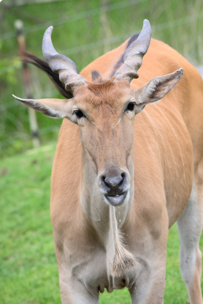 Ed the Sock tweet media