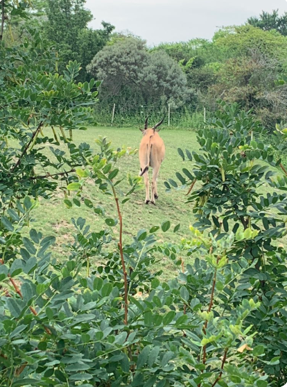 Ed the Sock tweet media