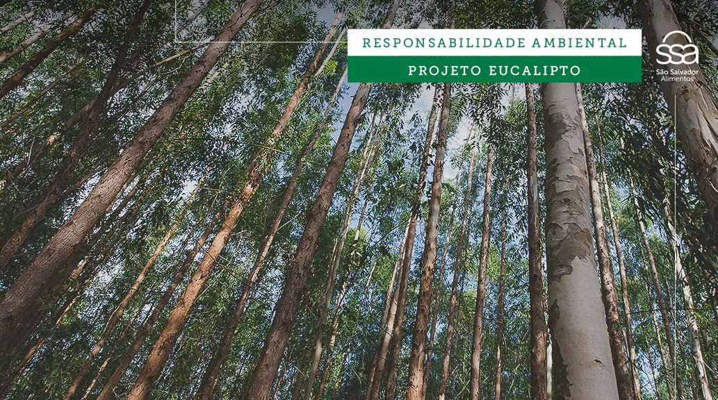 ssa_brasil's tweet photo. O projeto de fomento florestal da SSA consiste em parcerias com produtores rurais a fim de plantar eucalipto para gerar energia e vapor, suprindo as necessidades de abastecimento das caldeiras do abatedouro, armazéns de milho e soja, aquecimento de pintainhos, entre outros. https://t.co/JgHx6RlkXz