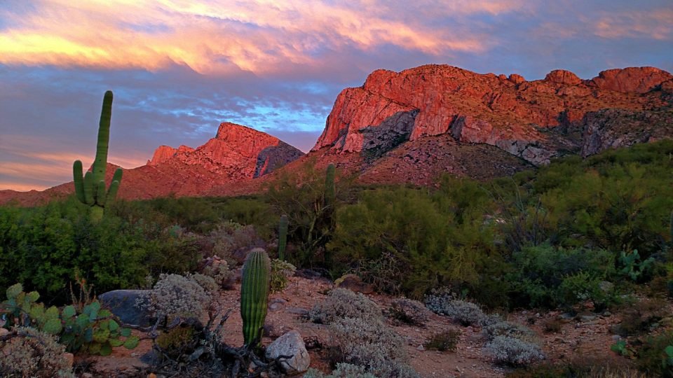 osSuburbia's tweet photo. From seeing glaciers to geysers to some amazing scenery, here are some short and easy hikes in US National Parks to help plan your next family's trip! https://t.co/3YXEdT2nYd  #Familytravel #NationalParks #SoftAdventures https://t.co/swf56IJ0Pd