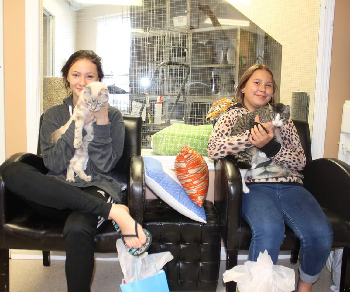 BAPSBrooksAB's tweet photo. HOORAY 🥳 Copley and Sox got adopted together! We're so happy for them and their new family 🧡
#AdoptDontShop #OptToAdopt #adoptacat #sheltercat
If you're looking for your own feline friend, #BAPSBrooks has a Summer Cagebeaker on til August 15! Cat adoption fees are halved 💰 https://t.co/sFODvNPxSo