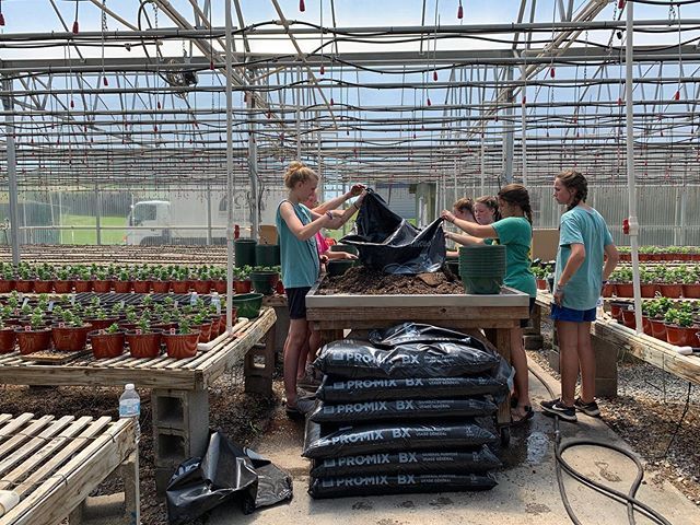 crosscreekym's tweet photo. Got our hands dirty at Rainbow Omega this week. Ecclesiastes 4:9-12. https://t.co/KeVs8XoYwV https://t.co/prn5zUDmNk