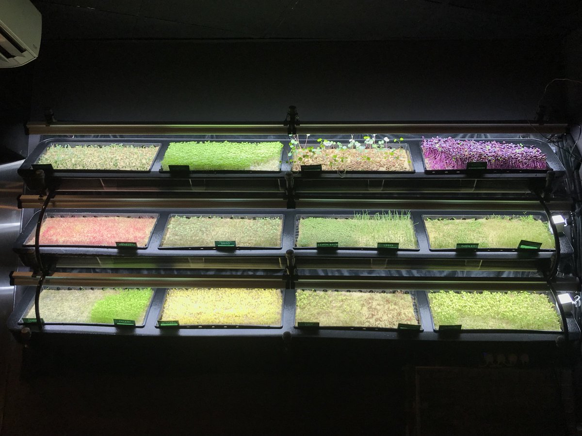 inHouse Produce tweet media