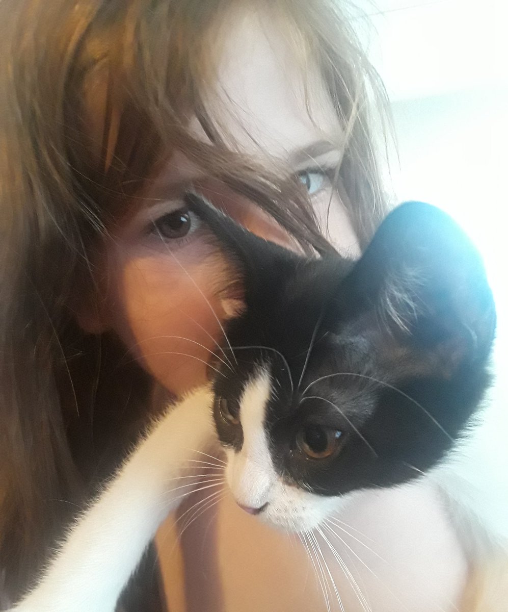 MezzoPips's tweet photo. The Kiddo and The Kitten.

#BeatrixKitto #CatsOfTwitter https://t.co/UZ2neX3iFI