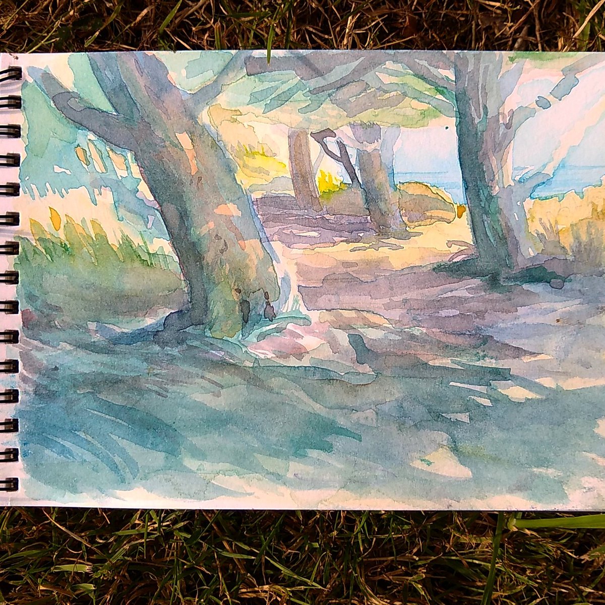 AdrienDang1's tweet photo. Some watercolour i did at the beach !
#watercolor #painting #sketch https://t.co/GGyR59CkGt