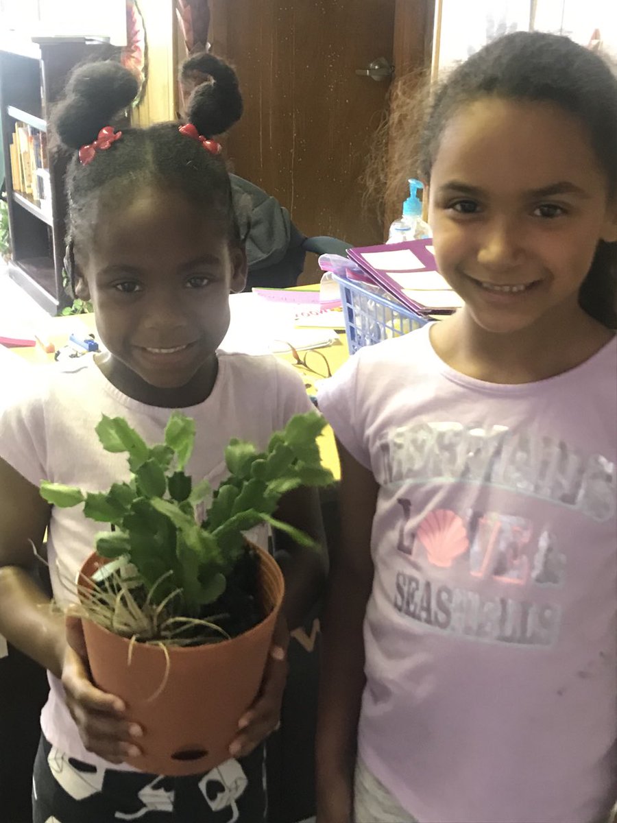 HayesShalia's tweet photo. My new friend @YMCA camp at Harllee Middle #read over 20 books this summer! She even read to this plant! 🌱 📚☀️
#smartersummer
#SummerLearning
@SuncoastCGLR
@summerlearning https://t.co/Z6LhEruUSN