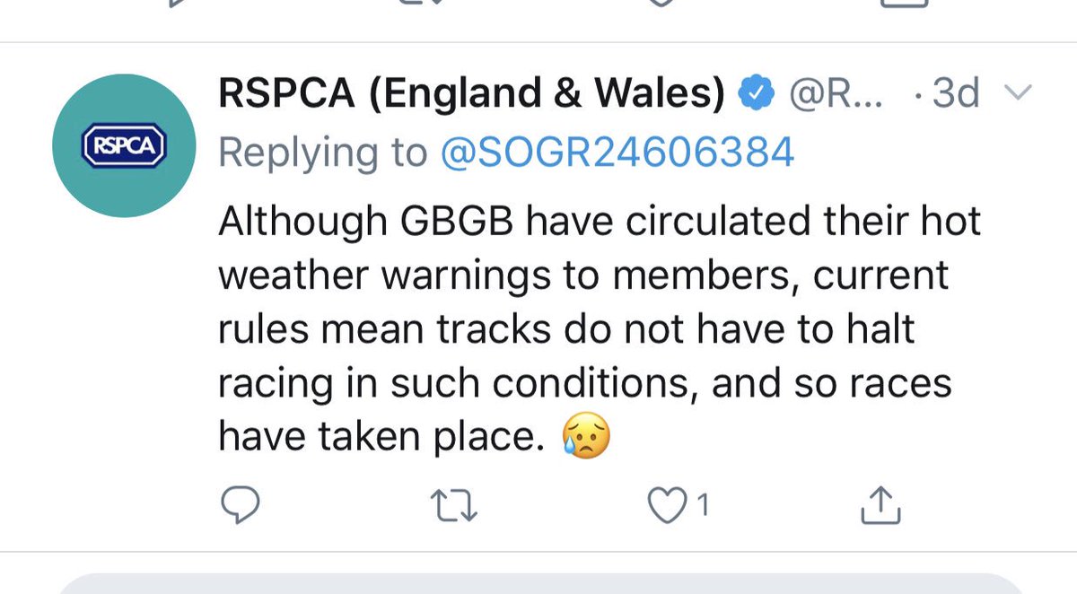 milarum1's tweet photo. @Greyhoundstar Racing in 30C+ is not welfare it’s cruelty. Those ex racers you want people like me to rescue are abused by the industry. You need public support for your exploitation to continue and you don’t have it. https://t.co/v62yoQGtsR