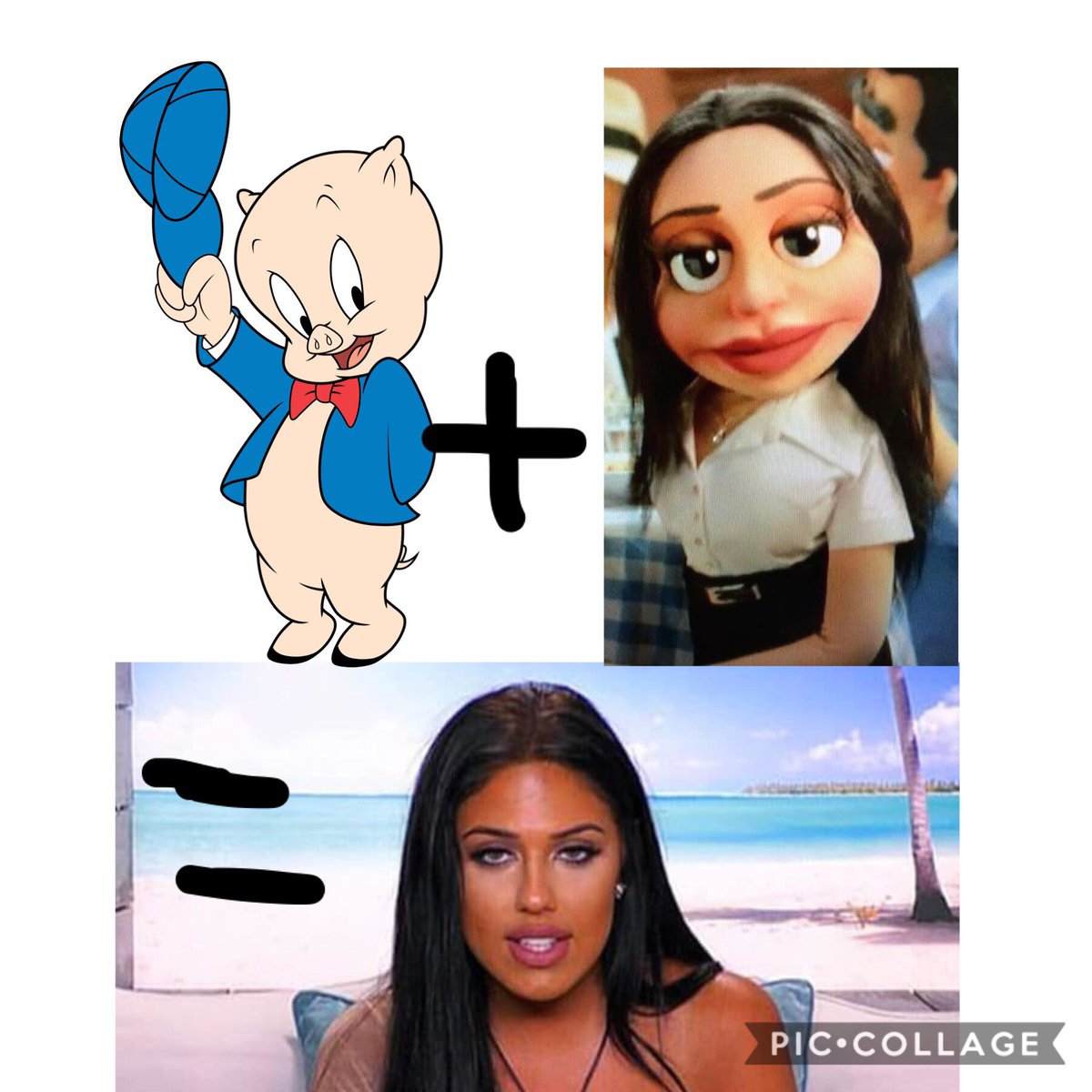 WullieRobson's tweet photo. If mr porky and the dolmio girl had a child.. #LoveIsIand #AnnaOut https://t.co/20ogprOzjU