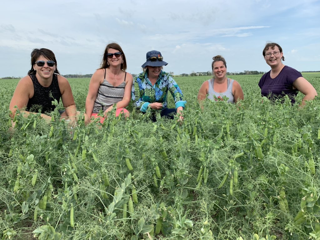 RSaik's tweet photo. #PowerFARM 2 summer tour @lindgrenfarms1 #Norquay, SK. https://t.co/RSSyAwurPo