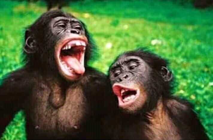 MalkomKe's tweet photo. Yaani ile joto iko @murang'a county wanaume wako karibu kutembea na vifaranga kwa trousers😀😀😂😂😂😂😂 https://t.co/zRbvzoh3gQ