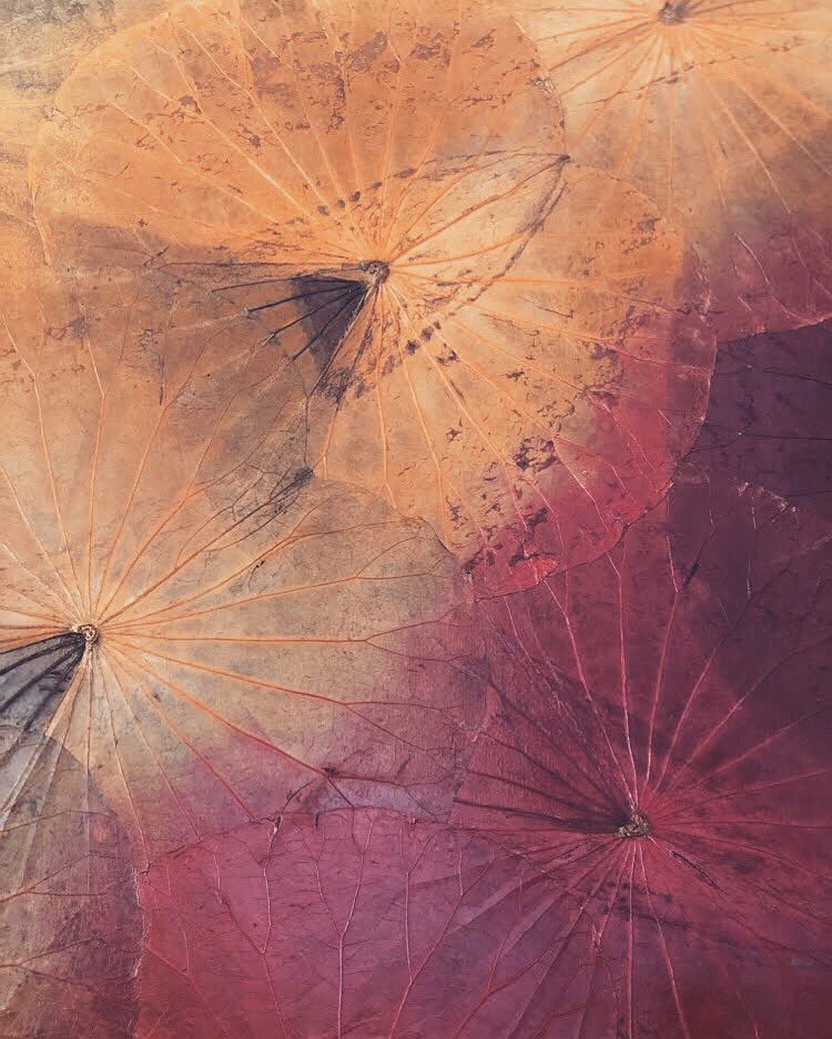 tulaartstudios's tweet photo. Registration is still available for our lotus canvas painting workshop this Saturday!

#yyc #calgary #yycworkshop #yycevents #yycdiy #yycnow #yycdowntown #yyclocal #yycbuzz #yycartist #yycdesign #datenightyyc #calgarybuzz #calgarylife #calgarynow #calgarynow #calgaryweddings https://t.co/FnNtAAra26