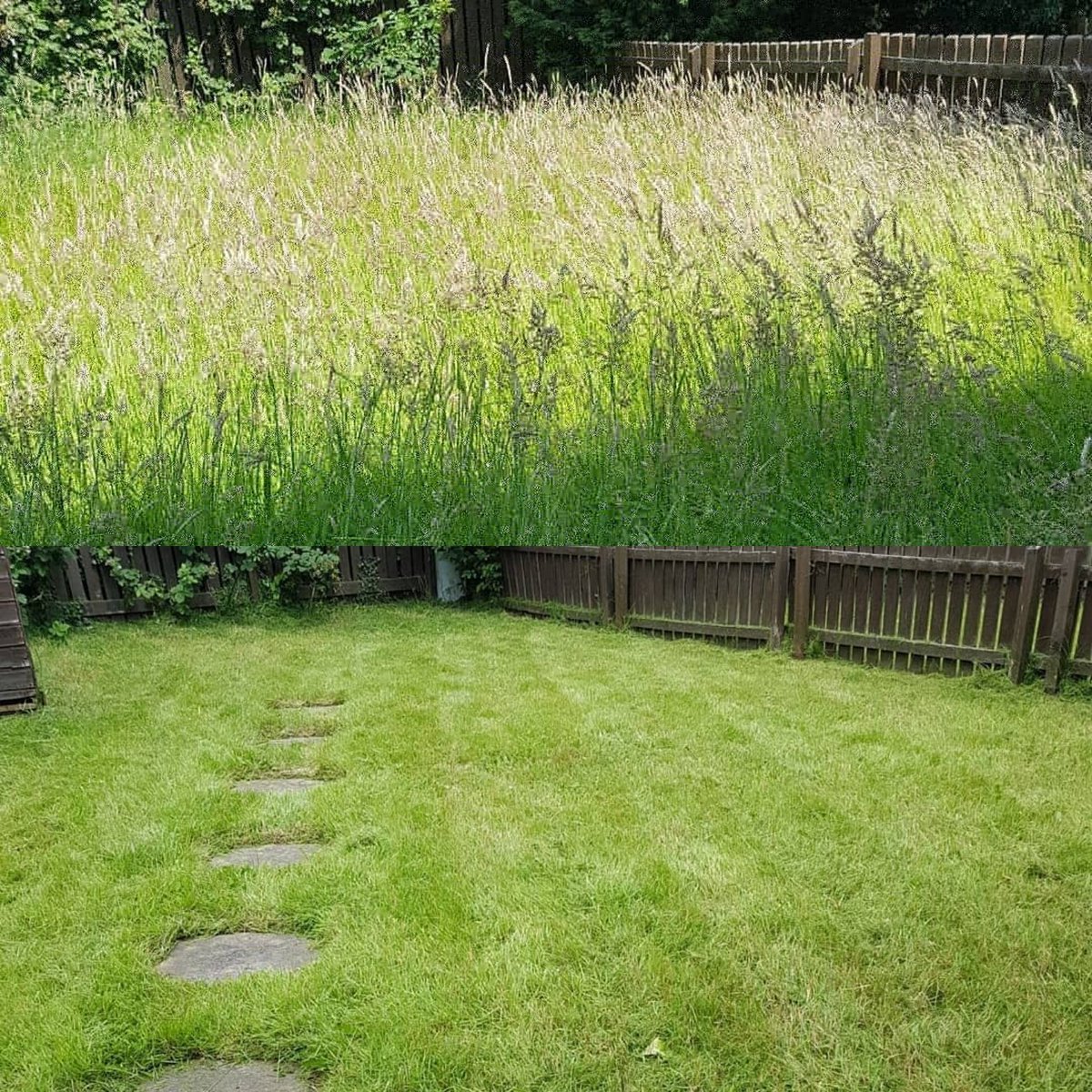 racinggreenmids's tweet photo. Before and after. Has anyone mentioned the #Weather #BorisJohnsonPM #uk #HotHotHot #hideandseek #garden #gardener #selfemployed #SmallBusiness #Mansfield #racinggreenmids #allyourgardenneeds https://t.co/Z5Zv5nRIeI