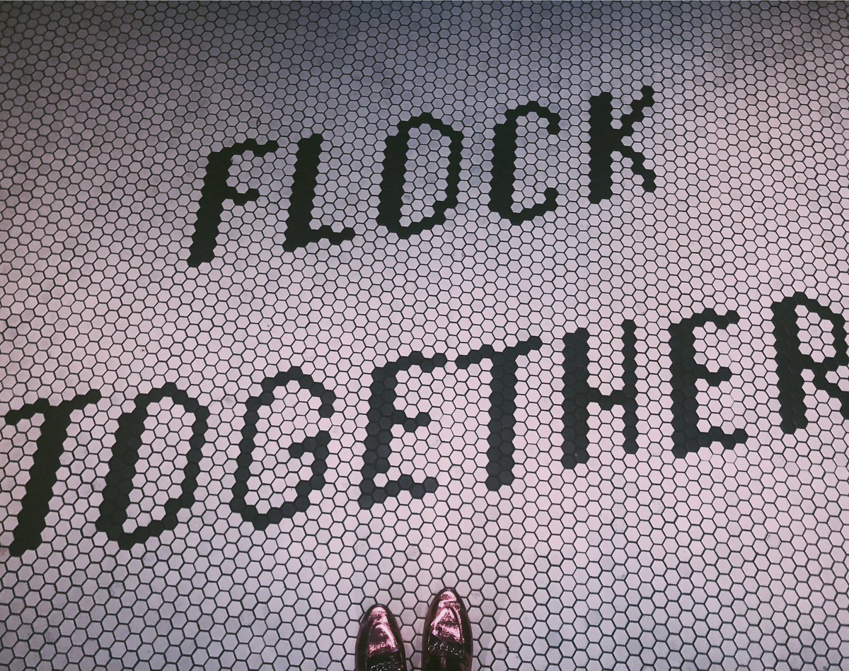282449989's tweet photo. #thePerch 
Flock together 
𓅰𓅭𓅪𓅦𓅜𓄿 https://t.co/4kxtKiF2Tb