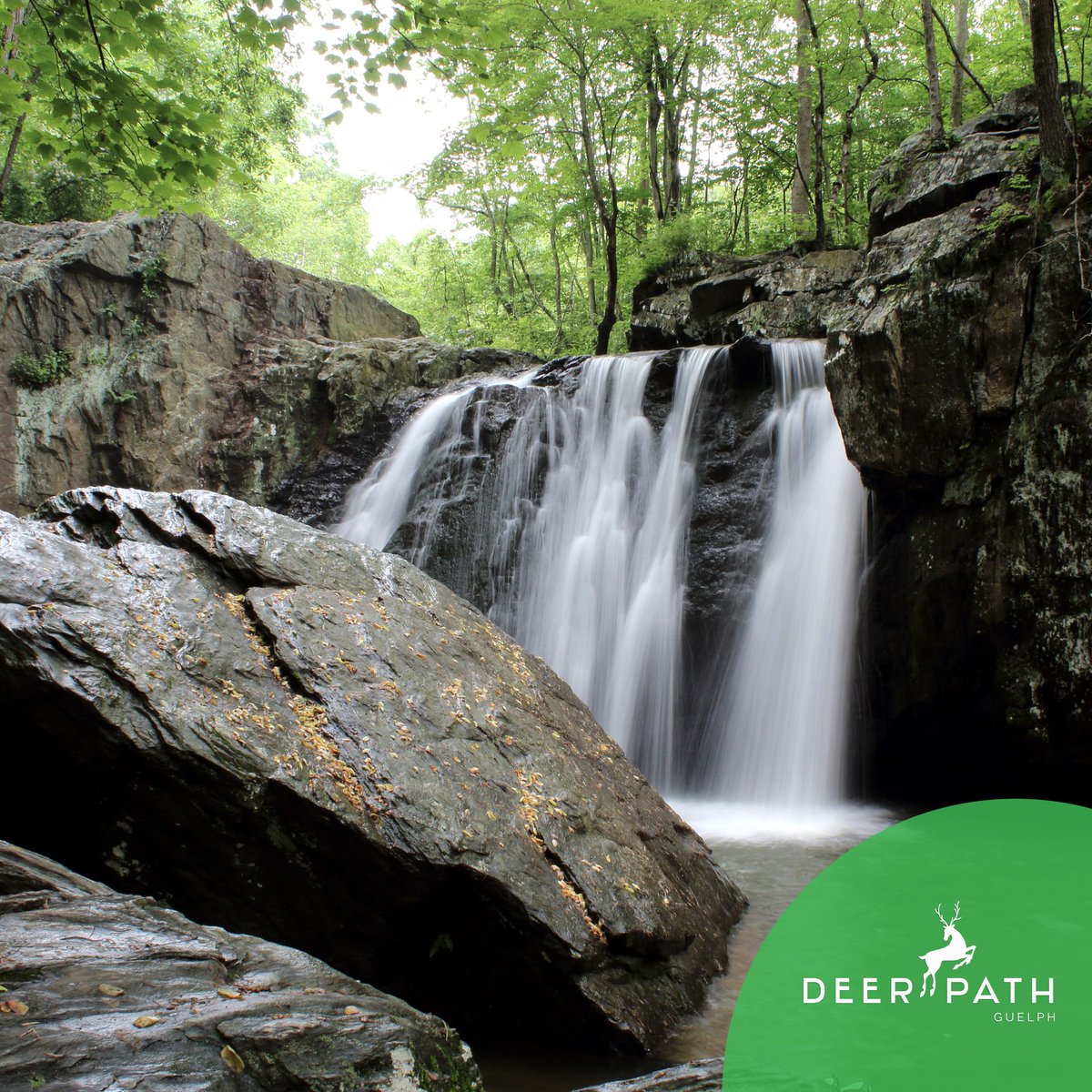 Nestled just a short distance from #DeerpathGuelph, Riverside Park in #Guelph is a go to spot for all outdoor activities. These range from quaint walking trails, a small picturesque river with a waterfall, a playground to run around in and more to enjoy on a sunny day. 🌊☀️