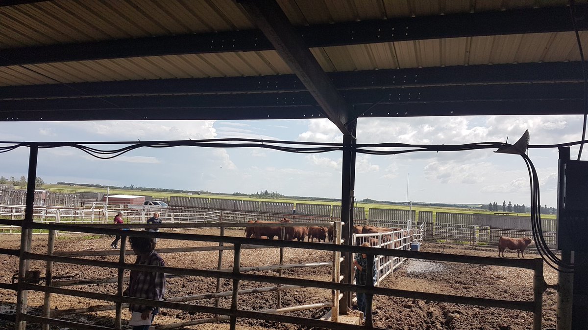 A huge shoutout to #SHEgrowsBeefWorkshop hosted at @LakelandCollege. It was a pleasure presenting to the group about our #FeedEfficiencyTestServices and the #GarlicAndCattleProject  <a href="/ALElzinga/">Amanda Elzinga-Pugh</a> <a href="/Merck/">Merck</a> <a href="/josievanlent/">Josie Van Lent</a> @LakelandFarm