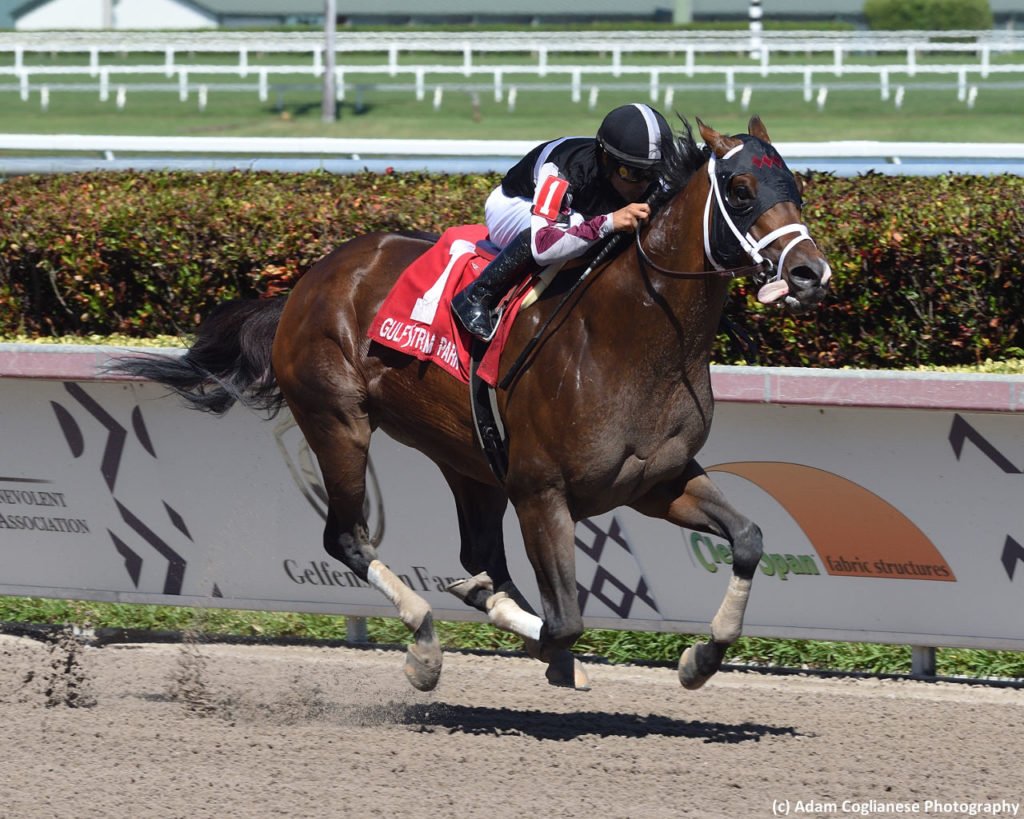 Brisnet's tweet image. #RecruitingReady invades for #BingCrosby (G1) at @DelMarRacing
🏇⭐️🏆🌊🏄‍♂️
bit.ly/30WHOv7
📸 (c) @coglianesephoto