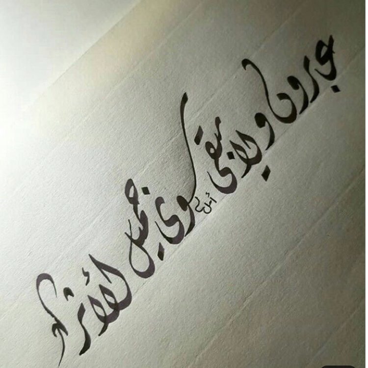 Ghada Makady (@ghadamakady) on Twitter photo 