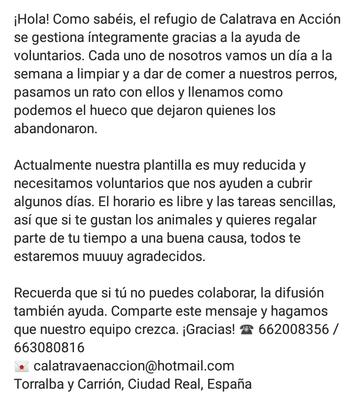 Calatrava en Acción tweet media